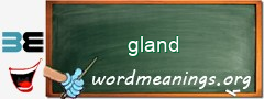 WordMeaning blackboard for gland